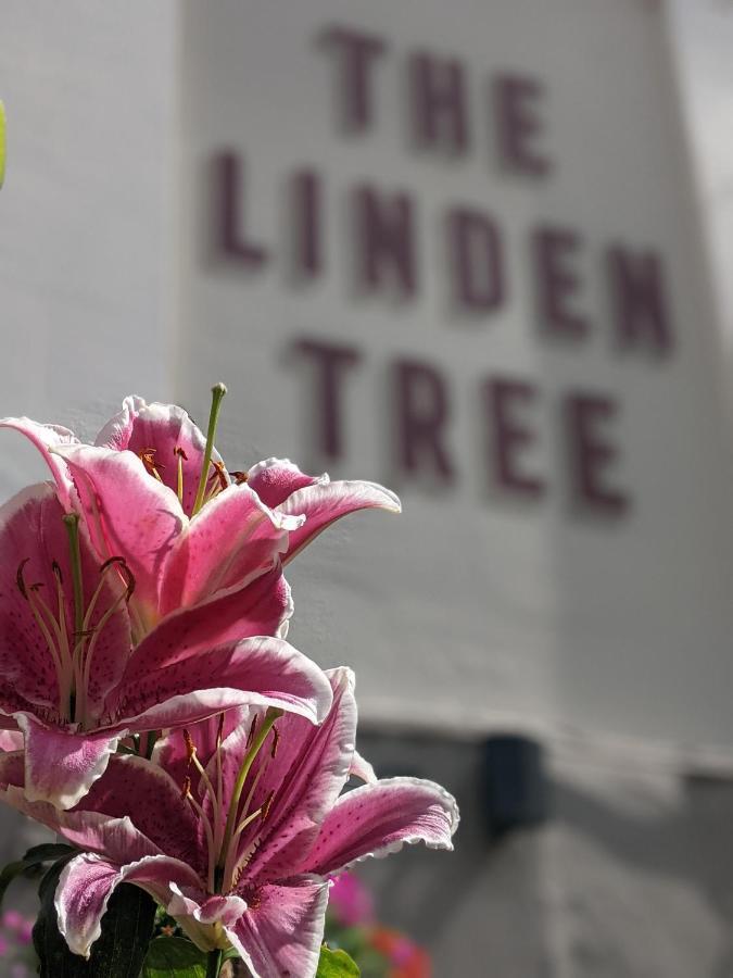 Linden Tree Acomodação com café da manhã Gloucester Exterior foto